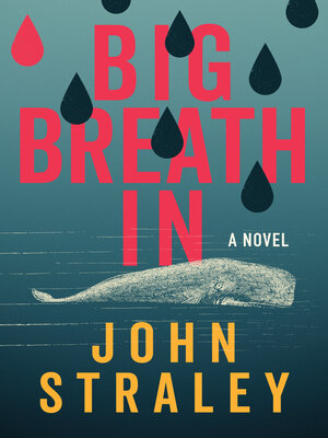 cover image of Big Breath In